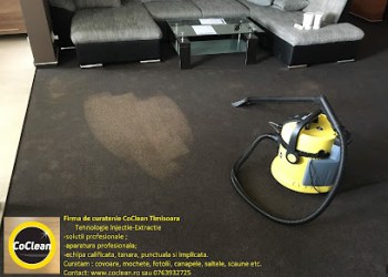 CoClean