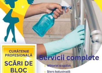 Clean House and More - Servicii profesionale de curatenie