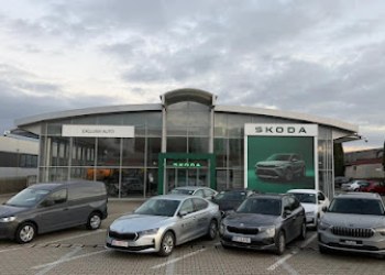 Exclusiv Auto - SKODA & Volkswagen Autovehicule Comerciale