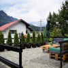 The Bear House Busteni