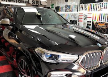 Polish Auto Profesional