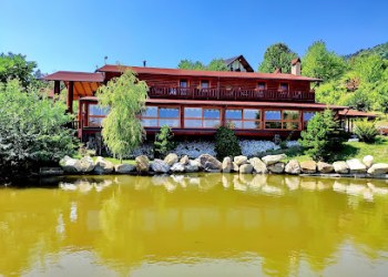 Creangă