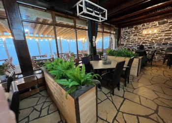 Cabana Paltinu