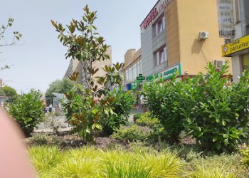 Hotel Intim