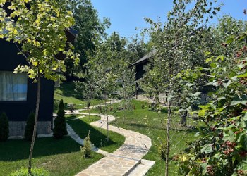 Cervus Magura