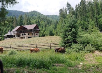 Valea Ierii