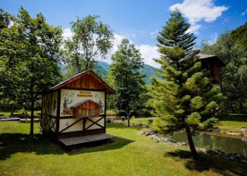 Frații Jderi Utopia Verde