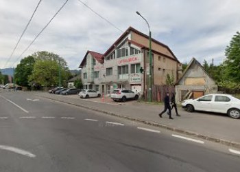 Floarea Soarelui